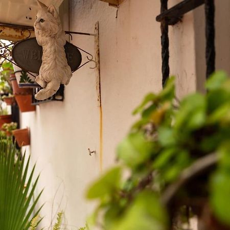 El Patio De La Vina By Gades Gestion Apartment Cadiz Luaran gambar